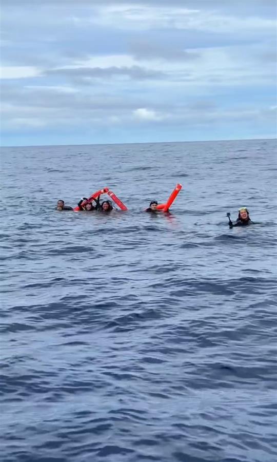 泡在海里挥舞着象拔船只靠近时大声呼救有人激动流泪龙8国际点此进入帕劳潜水失联9人获救画面曝光：(图1)