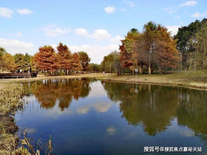 在售户型小区配套最新价格周边详情容积率楼盘详情张江金茂府2025首页网站张江金茂府售楼处电话(图43)